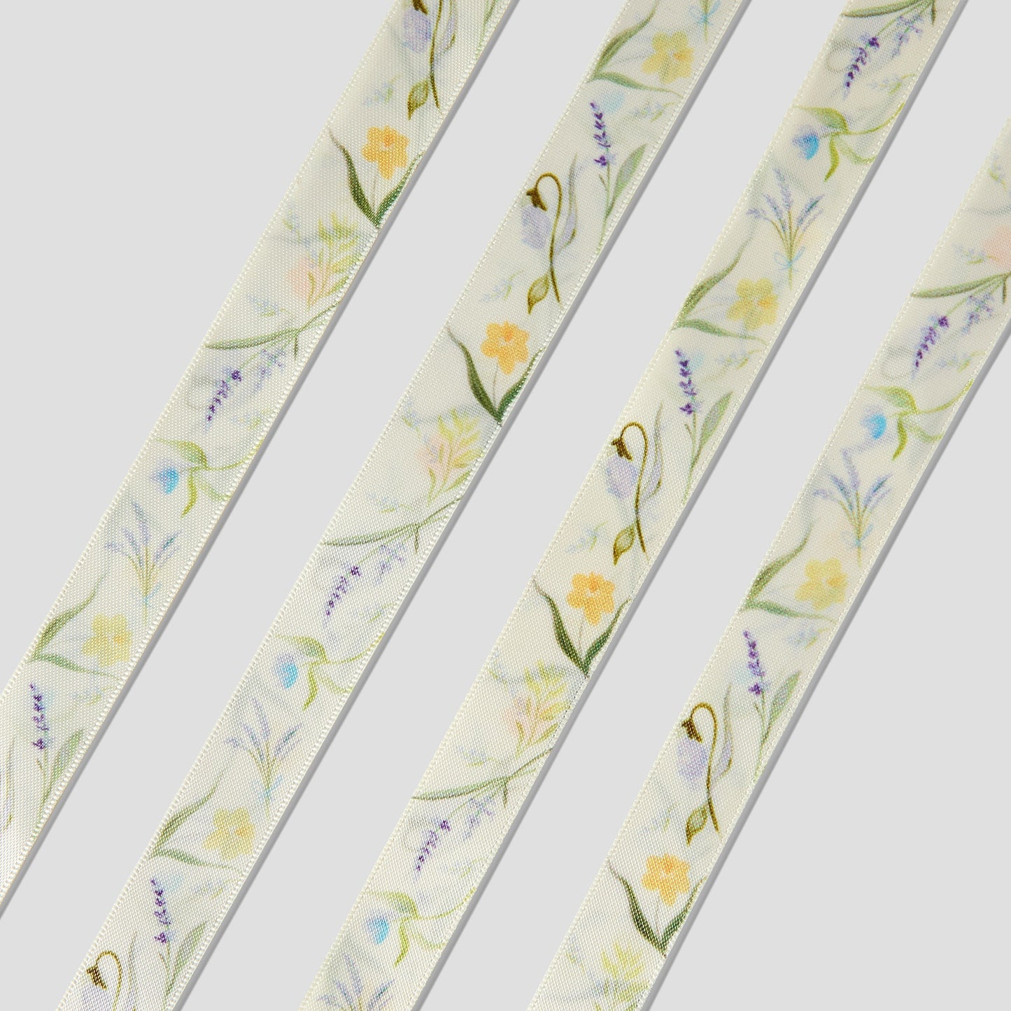 리본 슈레이스 (Ribbon Shoelace)