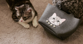Bags&Accessories