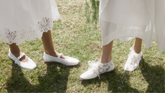 The Lace Collection